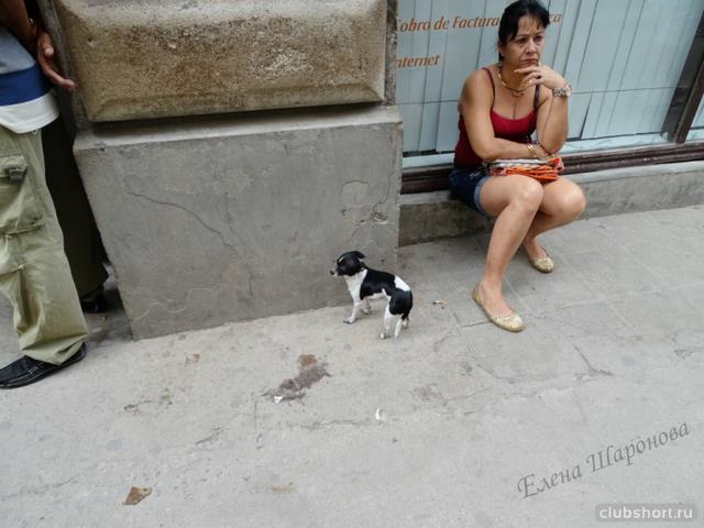 38430_179270-f7f29-93906068-m750x740-u05b18.jpg